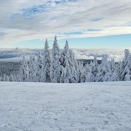Chata Jeleni Drevenice S Vlastni Virivkou Horni Halze エクステリア 写真