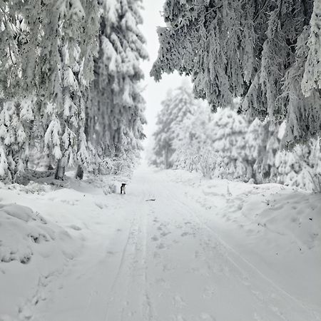 Chata Jeleni Drevenice S Vlastni Virivkou Horni Halze エクステリア 写真