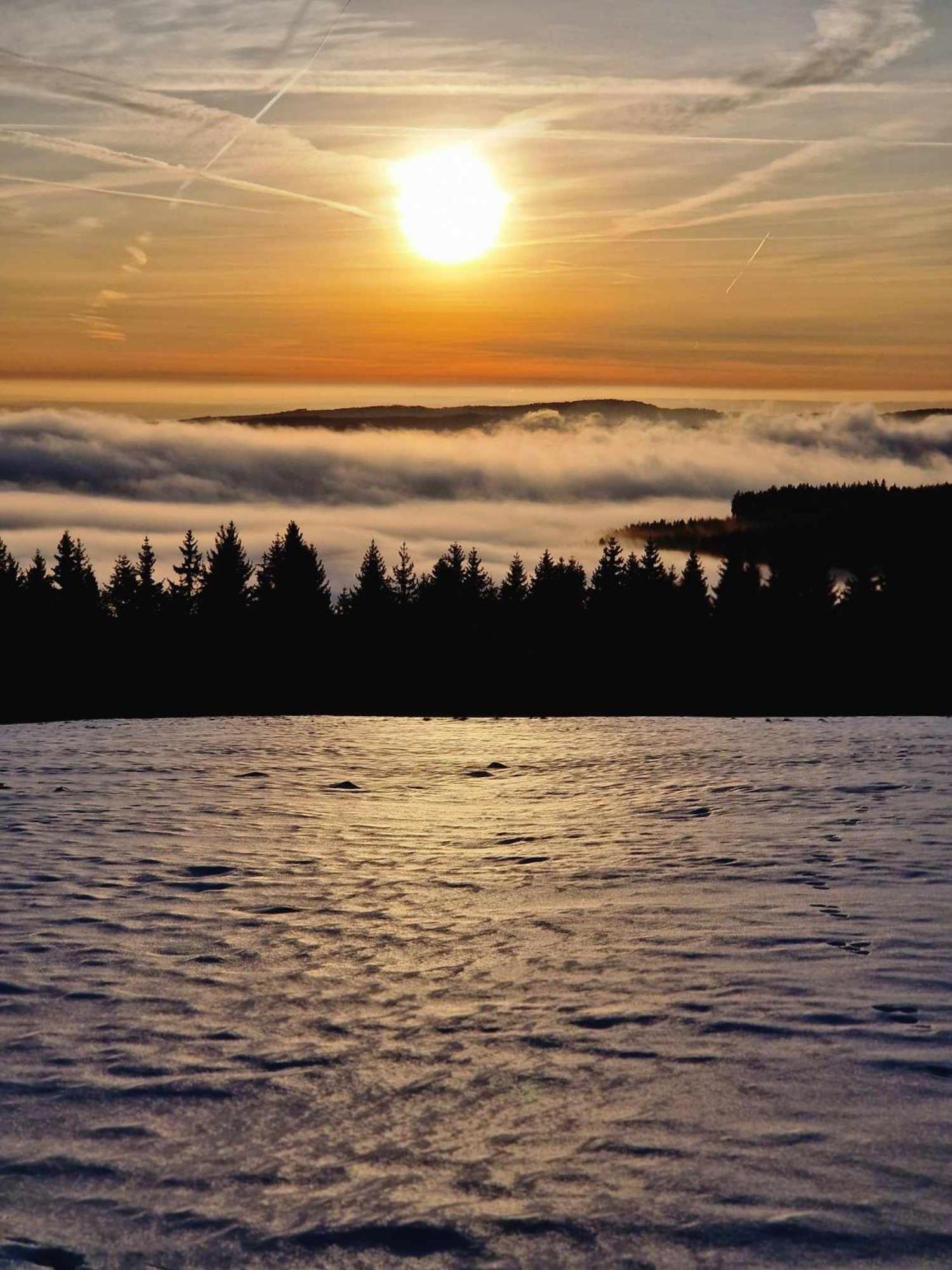 Chata Jeleni Drevenice S Vlastni Virivkou Horni Halze エクステリア 写真