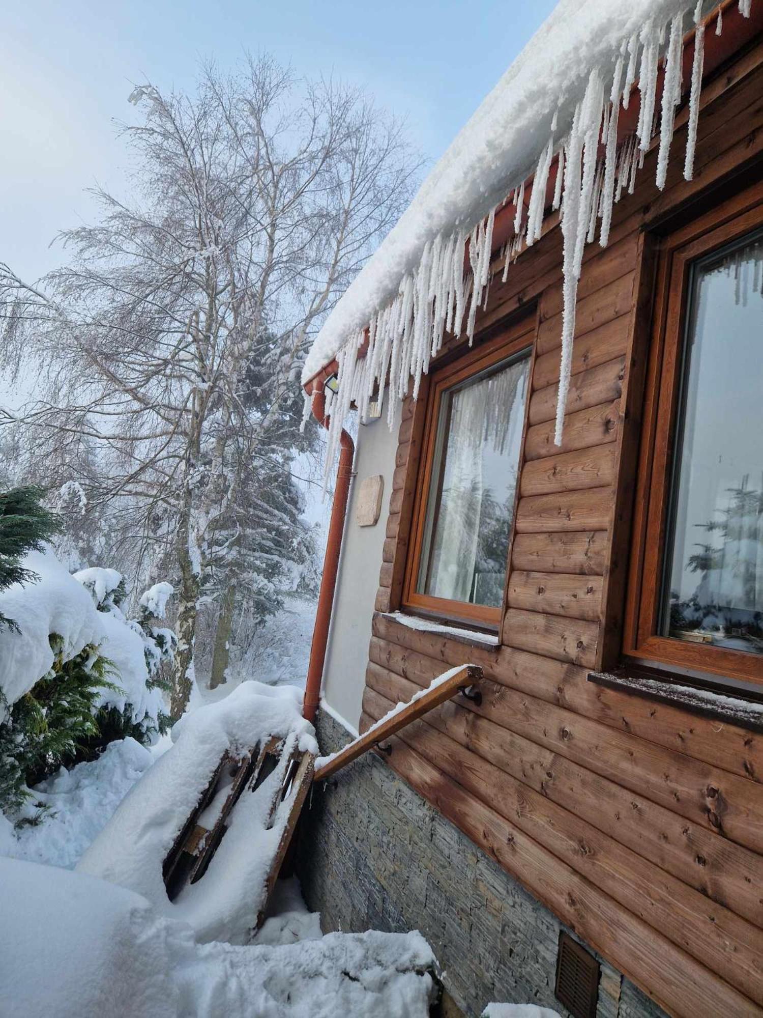 Chata Jeleni Drevenice S Vlastni Virivkou Horni Halze エクステリア 写真