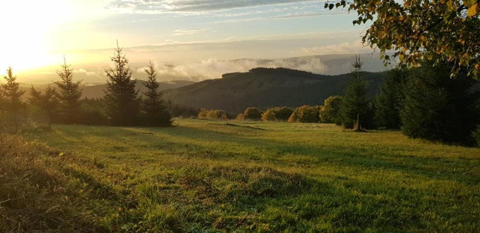 Chata Jeleni Drevenice S Vlastni Virivkou Horni Halze エクステリア 写真
