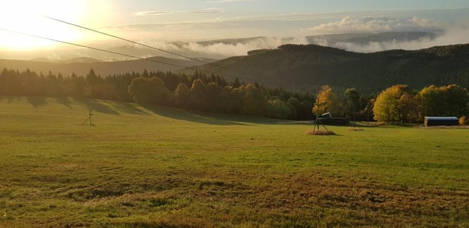 Chata Jeleni Drevenice S Vlastni Virivkou Horni Halze エクステリア 写真